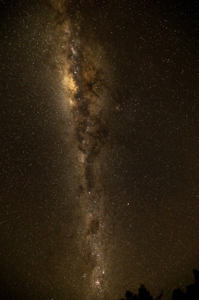 Fernwood Chalet 5 2024-06-29 Moonless Sky and Milky Way.jpg